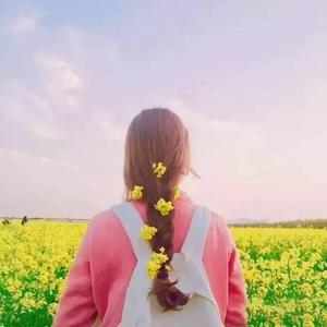 色情巜寡妇的肉体)
