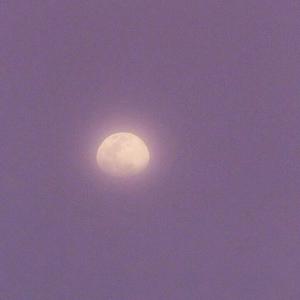 全是很黄很色又吃胸的视频国产影视
