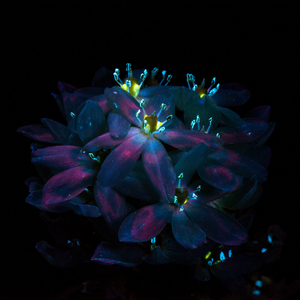 欧美富婆私生活XXXXXX
